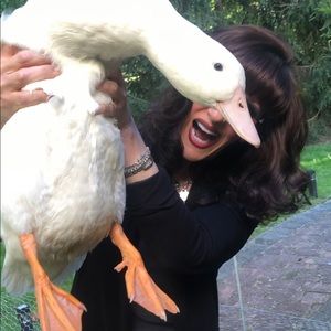 Meet your Posher, Lisa